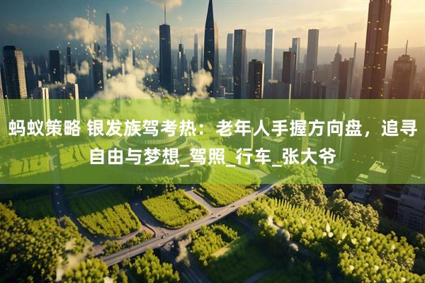 蚂蚁策略 银发族驾考热：老年人手握方向盘，追寻自由与梦想_驾照_行车_张大爷