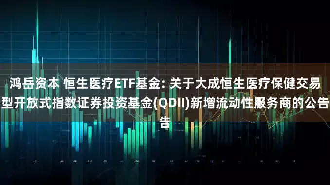 鸿岳资本 恒生医疗ETF基金: 关于大成恒生医疗保健交易型开放式指数证券投资基金(QDII)新增流动性服务商的公告