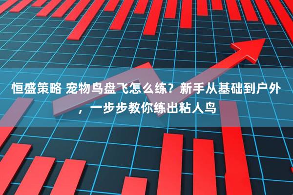 恒盛策略 宠物鸟盘飞怎么练？新手从基础到户外，一步步教你练出粘人鸟