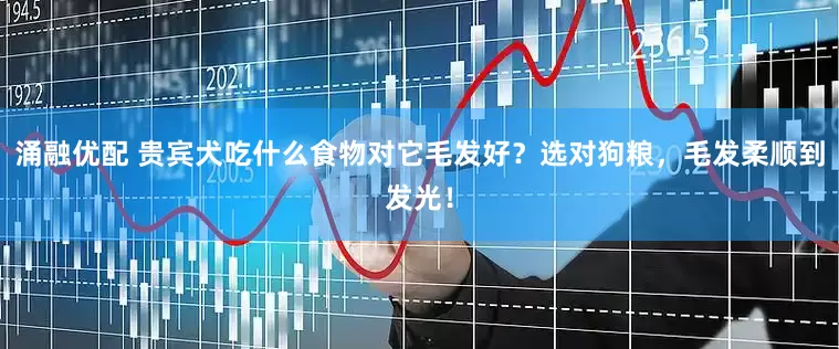 涌融优配 贵宾犬吃什么食物对它毛发好？选对狗粮，毛发柔顺到发光！