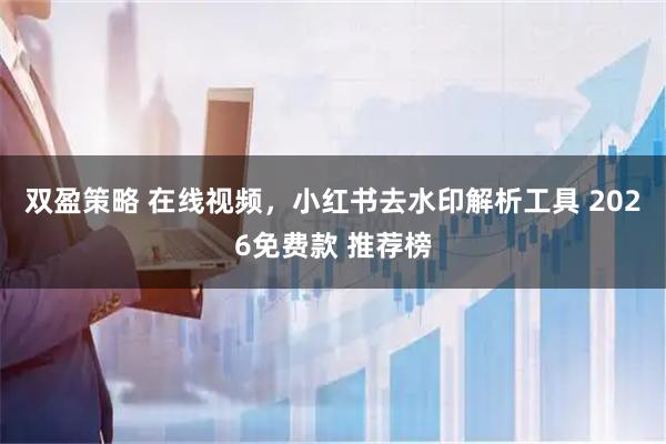 双盈策略 在线视频，小红书去水印解析工具 2026免费款 推荐榜