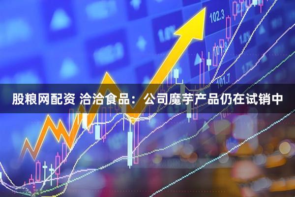 股粮网配资 洽洽食品：公司魔芋产品仍在试销中