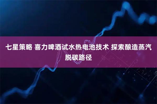 七星策略 喜力啤酒试水热电池技术 探索酿造蒸汽脱碳路径